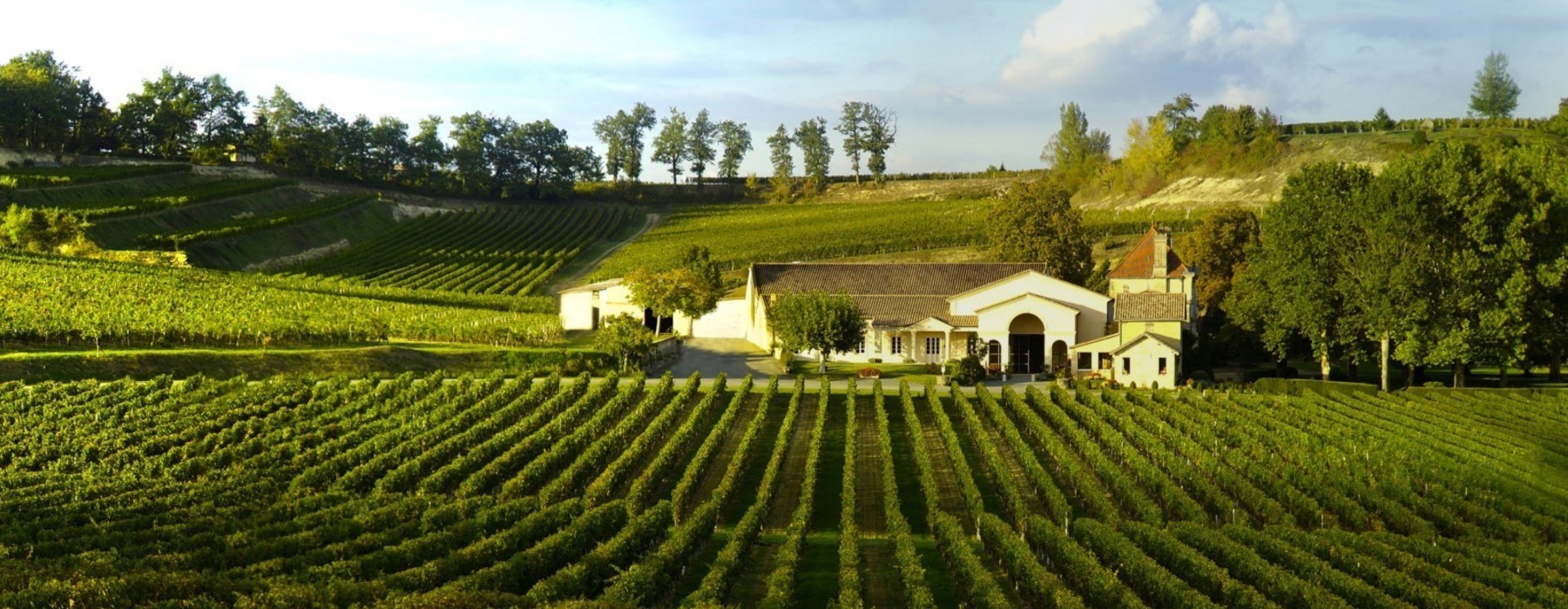 Vins à boire jusqu'à 30€