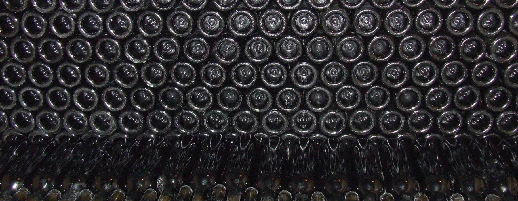 Cave de Garde Idéale des vins accessibles