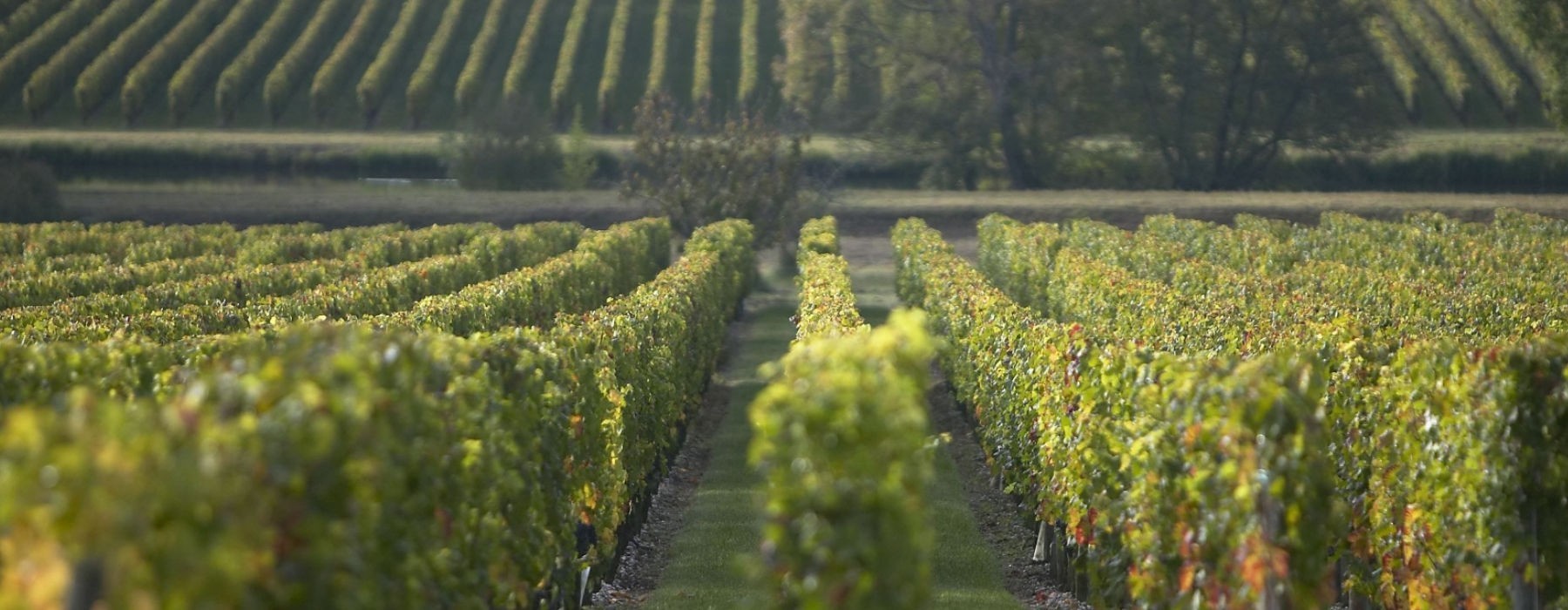 Notes moyennes de la presse supérieures à 92