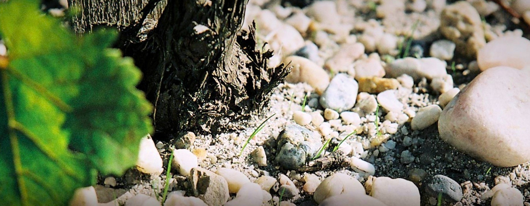 Les coups de coeur de l'équipe