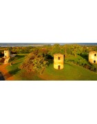 Bordeaux, Côtes de Bordeaux...