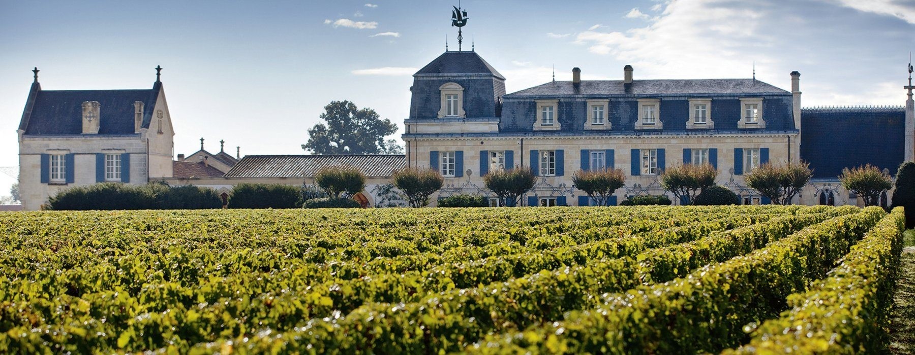Graves et Pessac-Léognan